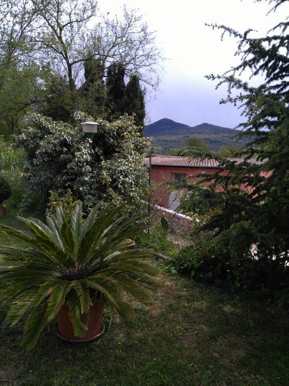 Agriturismo Usurtala Orani Ngoại thất bức ảnh