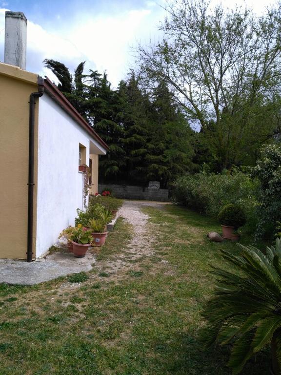 Agriturismo Usurtala Orani Ngoại thất bức ảnh
